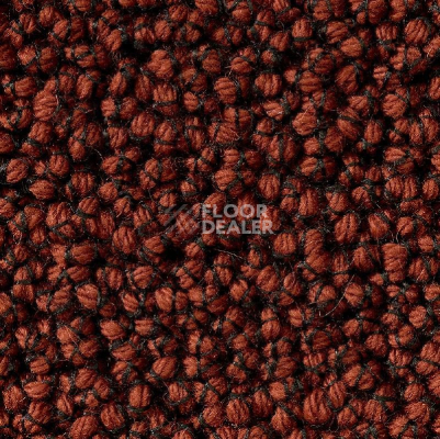 Ковролин Best Wool Nature Vivaldi I-AB Flavoured Cayenne фото 1 | FLOORDEALER